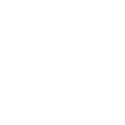 City of Noblesville White Logo